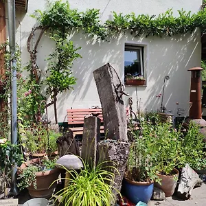 Gartenzimmer Mit Strassenbahn Zu Dom Und Messe Apartment
